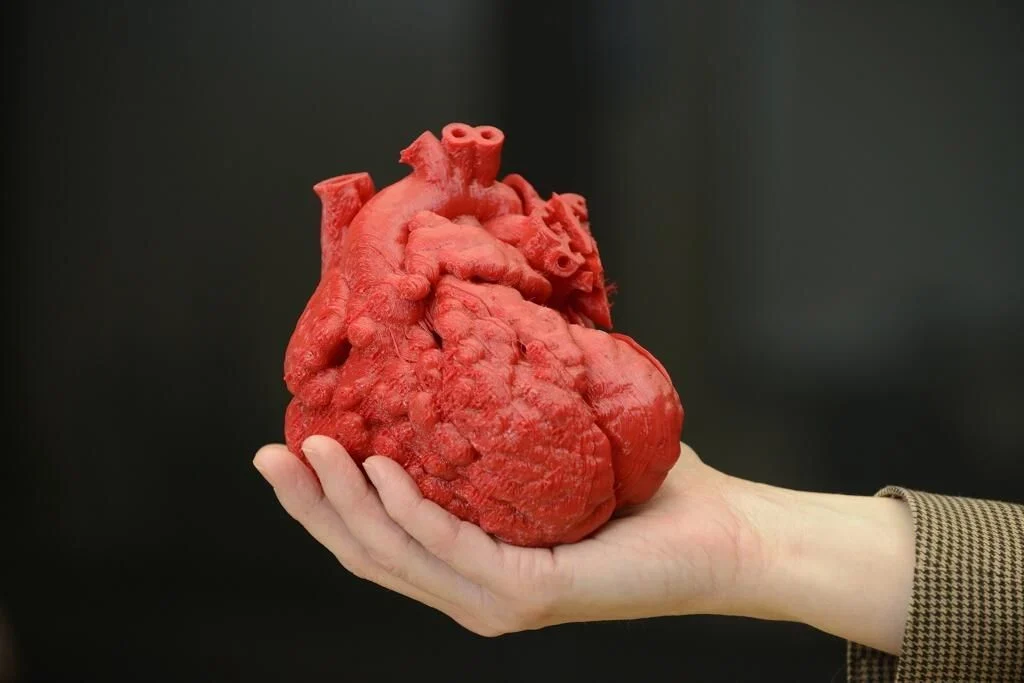 photos-3D-heart-Louisville.jpg