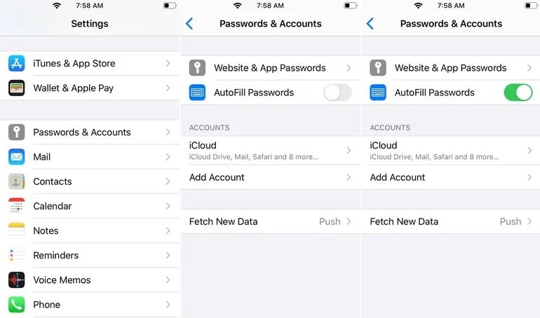 iCloud Keychain screenshot B